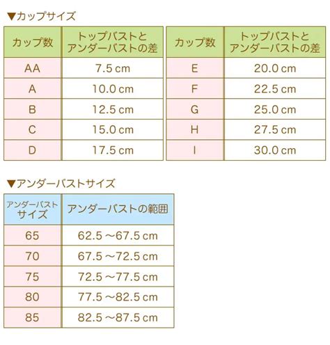 av女優 カップ数|AV女優さんの胸のカップ数別分類 